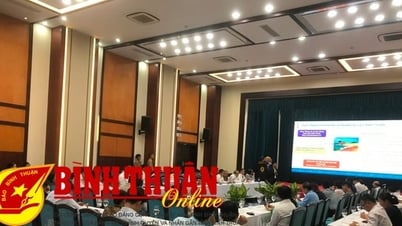 デジタル変革と人工知能の応用がビントゥアン省の観光エコシステムを結びつける