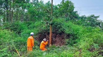Tran Yen Electricity strives to ensure safety of power grid corridors