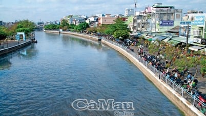 Sông nước Cà Mau trong tôi