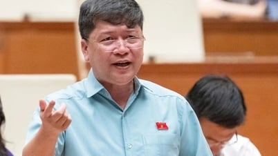 「風は民間経済の凧を遠くまで飛ばす」