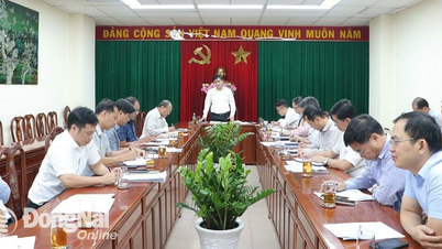 Dong Nai launches 45-day and night peak to accelerate disbursement of public investment capital