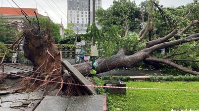 Two consecutive electrocution incidents during the rainy season killed one person in Ho Chi Minh City
