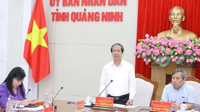 Dự kiến từ năm học 2026-2027 sẽ bỏ tuyển sinh các cấp học theo địa giới hành chính