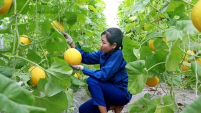 Increasing people's income from new rural construction