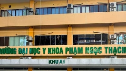Nguyên Giám đốc Sở Y tế làm Chủ tịch Hội đồng giáo sư ĐH Y khoa Phạm Ngọc Thạch