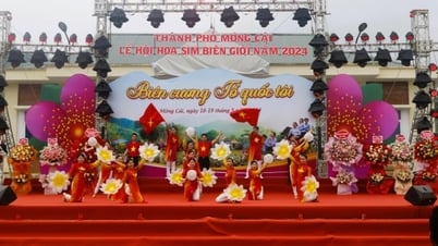 Festival de Flores Border Sim 2025: Borde morado - Conectando la herencia