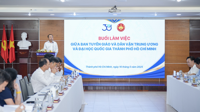សាកលវិទ្យាល័យជាតិទីក្រុងហូជីមិញស្នើធ្វើជាអធិបតីក្នុងការស្រាវជ្រាវវិទ្យាសាស្ត្រជាមូលដ្ឋាន