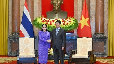 Le Président Luong Cuong reçoit le Premier ministre thaïlandais Paetongtarn Shinawatra