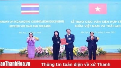 ប្រធានគណៈកម្មាធិការប្រជាជនខេត្ត លោក Do Minh Tuan បានធ្វើបទបង្ហាញអំពីសេចក្តីសម្រេចអនុម័តការវិនិយោគដល់ WHA Group - ប្រទេសថៃ