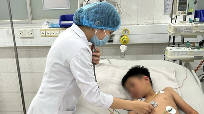 Thành phố Hồ Chí Minh: Nhiều trẻ em gặp nguy hiểm do sốc sốt xuất huyết