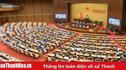 Национальное собрание допросит двух министров.