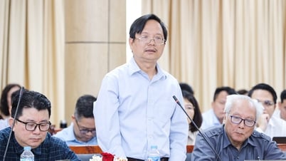 Tranh luận hội đồng trường tồn tại ở mức hình thức, cần hoạt động thực chất hơn