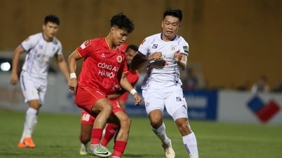 Aktueller Spielplan der 24. Runde der V-League 2024/25
