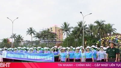 Les femmes de Ha Tinh agissent pour un environnement vert, propre et beau