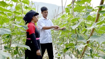 Khen thưởng kịp thời, tạo động lực phấn đấu