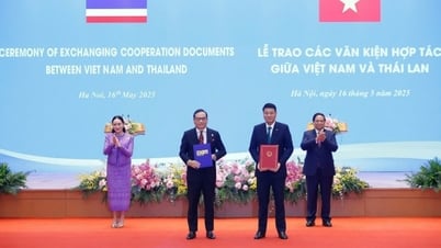 BIDV và EXIM Thái Lan đẩy mạnh hợp tác toàn diện