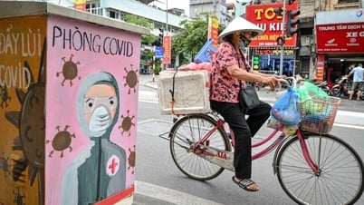 新型コロナウイルス感染症（COVID-19）の感染者数が再び増加：新たな感染拡大を懸念すべきか？