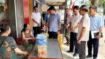 ការត្រួតពិនិត្យប្រធានបទនៃការអនុវត្តការចាត់ថ្នាក់សំណល់រឹងក្នុងស្រុកនៅប្រភពក្នុងស្រុក Tien Lang
