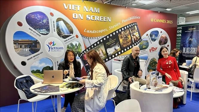 カンヌ映画祭2025：ベトナム - 国際的な映画制作者にとって魅力的な新たな開催地