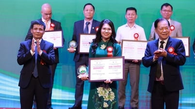 Eurowindow Holding recibió el premio "doble" de Desarrollo Económico Verde y Construcción en 2025