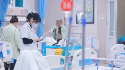 Monitorear de cerca la situación del COVID-19 en los centros de salud y las comunidades