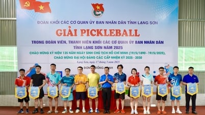 Trên 100 vận động viên tham gia giải Pickleball trong đoàn viên, thanh niên Khối các cơ quan UBND tỉnh 2025 - Báo và Đài Phát thanh Truyền hình Lạng Sơn