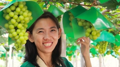 Viñedos de peonías repletos de frutos fascinan a los turistas con la "vida virtual"