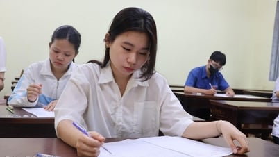Se anuncia la línea directa para el examen de graduación de la escuela secundaria y las admisiones de décimo grado en 2025