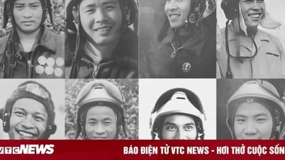 Die jugendliche Schönheit von 12 legendären vietnamesischen Piloten