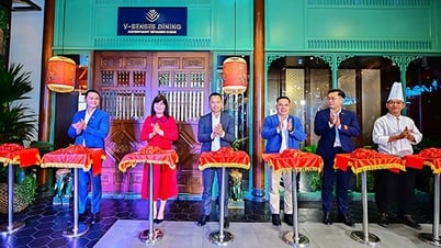 V-Senses Dining은 독창적이고 현대적인 스타일의 베트남 요리를 선보입니다.
