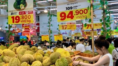 5월 17일 오늘 두리안 가격: 시장 가격 상승