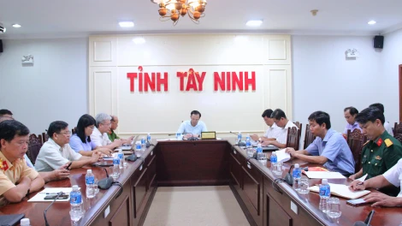Quarter I.2025: Nationwide 4,760 traffic accidents occurred