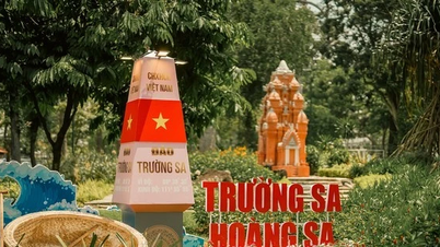 Espace spécial du Festival des orchidées de Hô-Chi-Minh-Ville