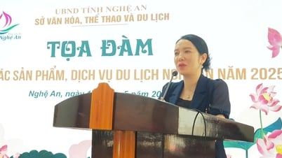겨울 없는 꾸아로 관광상품을 만들겠습니다