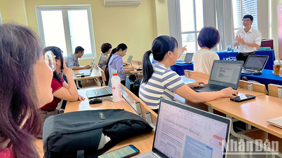 북부 중부 고원지대의 교육 품질 향상 및 인적자원 개발