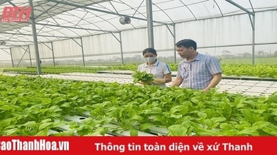 Thu hút nông dân gia nhập hợp tác xã