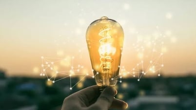 Detección de descargas: Criaturas que pueden conducir la electricidad como un cable vivo