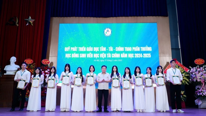 Thúc đẩy đổi mới sáng tạo và hội nhập toàn cầu từ ghế giảng đường