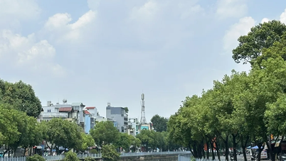 TPHCM: Cần đẩy nhanh tiến độ đầu tư các nhà máy xử lý nước thải đô thị