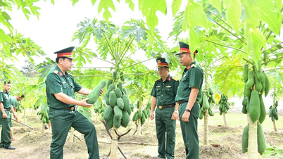 Ngành Hậu cần Quân đoàn 34 làm theo lời Bác