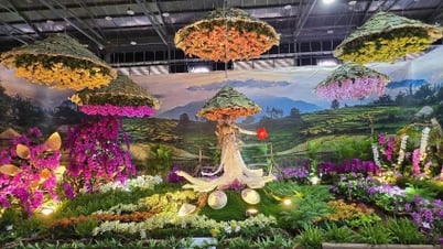 Lan hồ điệp Đà Lạt khoe sắc tại Festival hoa Lan TP Hồ Chí Minh 2025
