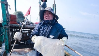 អ្នកនេសាទ Nghe An ក្នុងរដូវនេសាទចាហួយ