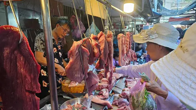 Giá heo hơi hôm nay 17/5: Nhiều điều bất thường