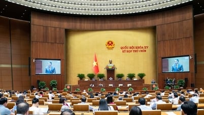 Dùng nguồn cải cách tiền lương còn dư để chi trả cho sắp xếp bộ máy