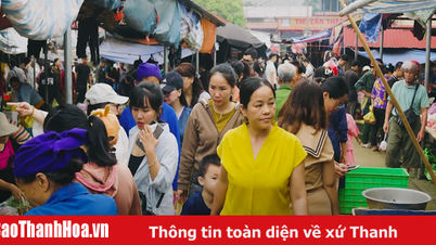 Hành trình kết nối xanh: Pù Luông, bình yên và thơ mộng