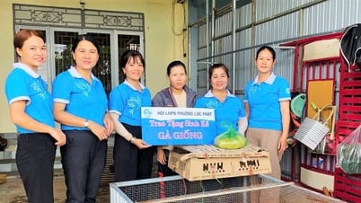 バオロック：地域社会と恵まれない女性に向けた多くの意義深いプロジェクトと活動