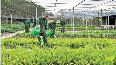 ផលិតកម្មល្អក៏រៀនពីពូ។