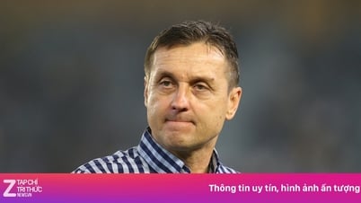 استقالة مدرب ثانه هوا بعد الخسارة أمام هاي فونج