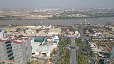 Conseil sur la planification détaillée du développement de la rive sud de la rivière Cam, la construction de parcs, de centres sportifs et du musée du port de Hai Phong