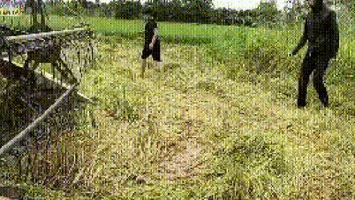VIDEO: The whole neighborhood in the West is bustling with field mouse hunting